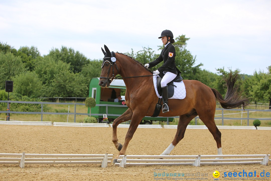 Reitturnier-Ueberlingen-28-06-2014-Bodensee-Community-SEECHAT_DE-IMG_5374.JPG