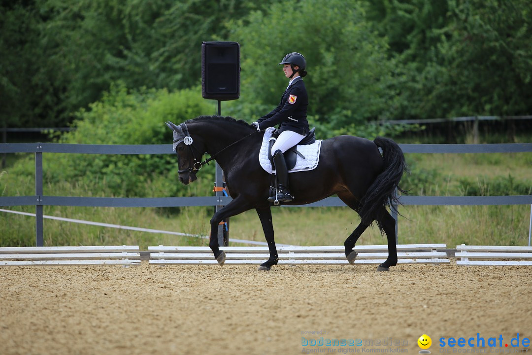 Reitturnier-Ueberlingen-28-06-2014-Bodensee-Community-SEECHAT_DE-IMG_5391.JPG