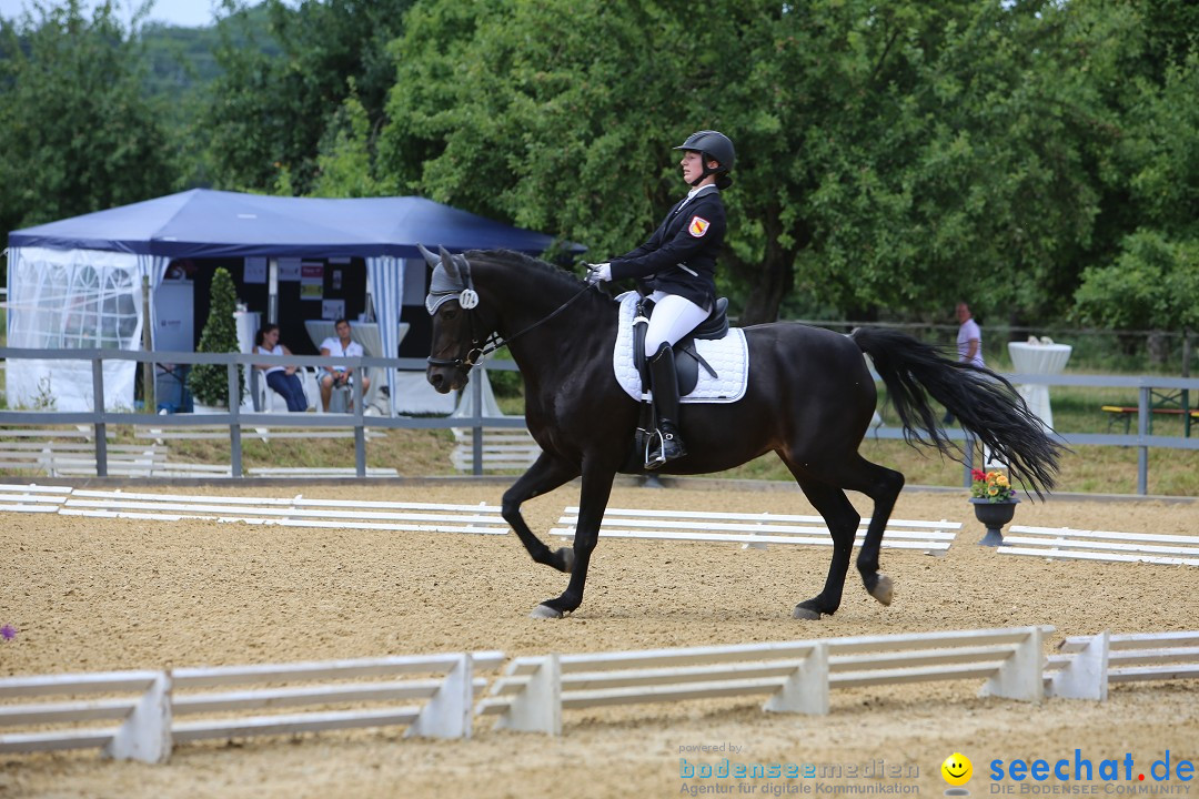 Reitturnier-Ueberlingen-28-06-2014-Bodensee-Community-SEECHAT_DE-IMG_5407.JPG