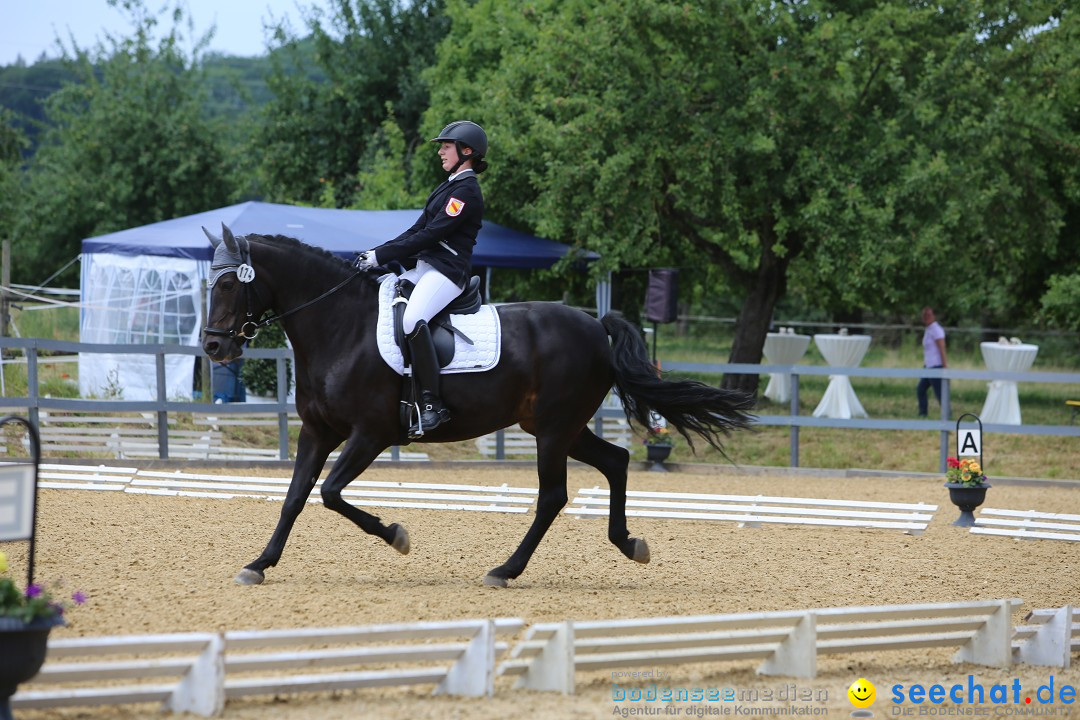 Reitturnier-Ueberlingen-28-06-2014-Bodensee-Community-SEECHAT_DE-IMG_5408.JPG