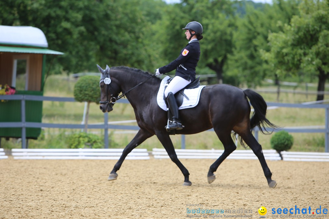 Reitturnier-Ueberlingen-28-06-2014-Bodensee-Community-SEECHAT_DE-IMG_5410.JPG