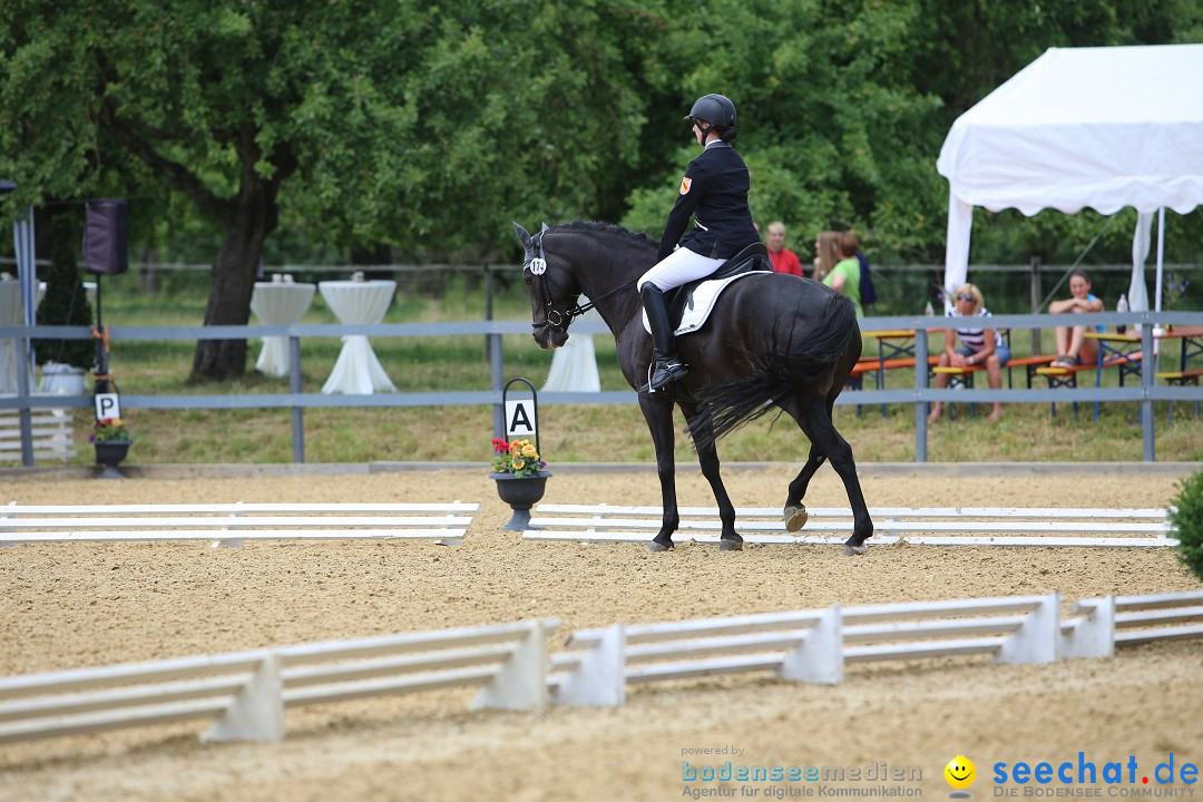 Reitturnier-Ueberlingen-28-06-2014-Bodensee-Community-SEECHAT_DE-IMG_5424.JPG