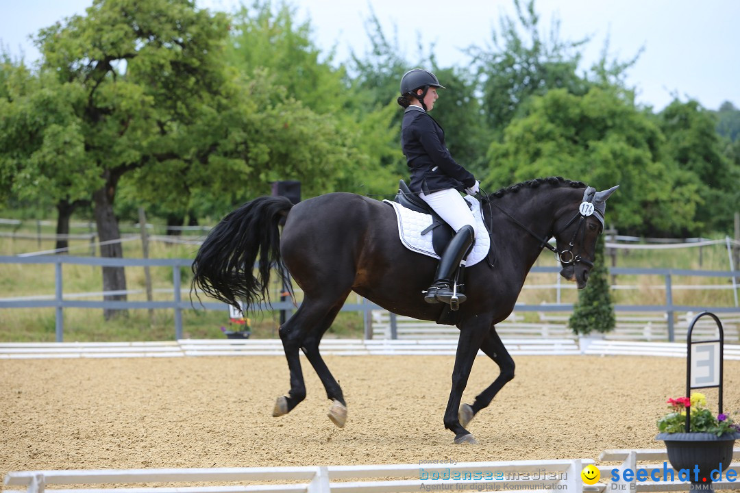 Reitturnier-Ueberlingen-28-06-2014-Bodensee-Community-SEECHAT_DE-IMG_5431.JPG