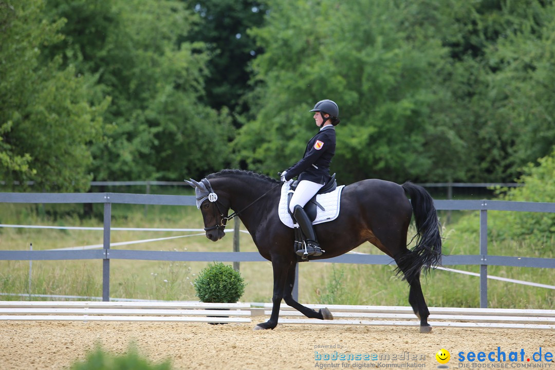 Reitturnier-Ueberlingen-28-06-2014-Bodensee-Community-SEECHAT_DE-IMG_5434.JPG