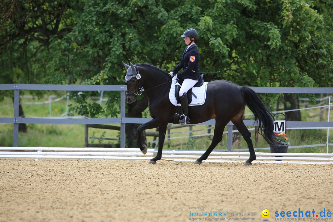 Reitturnier-Ueberlingen-28-06-2014-Bodensee-Community-SEECHAT_DE-IMG_5435.JPG