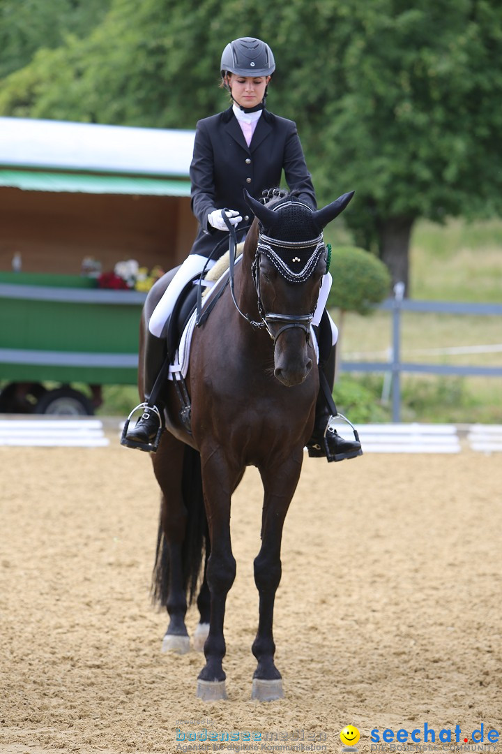 Reitturnier-Ueberlingen-28-06-2014-Bodensee-Community-SEECHAT_DE-IMG_5513.JPG