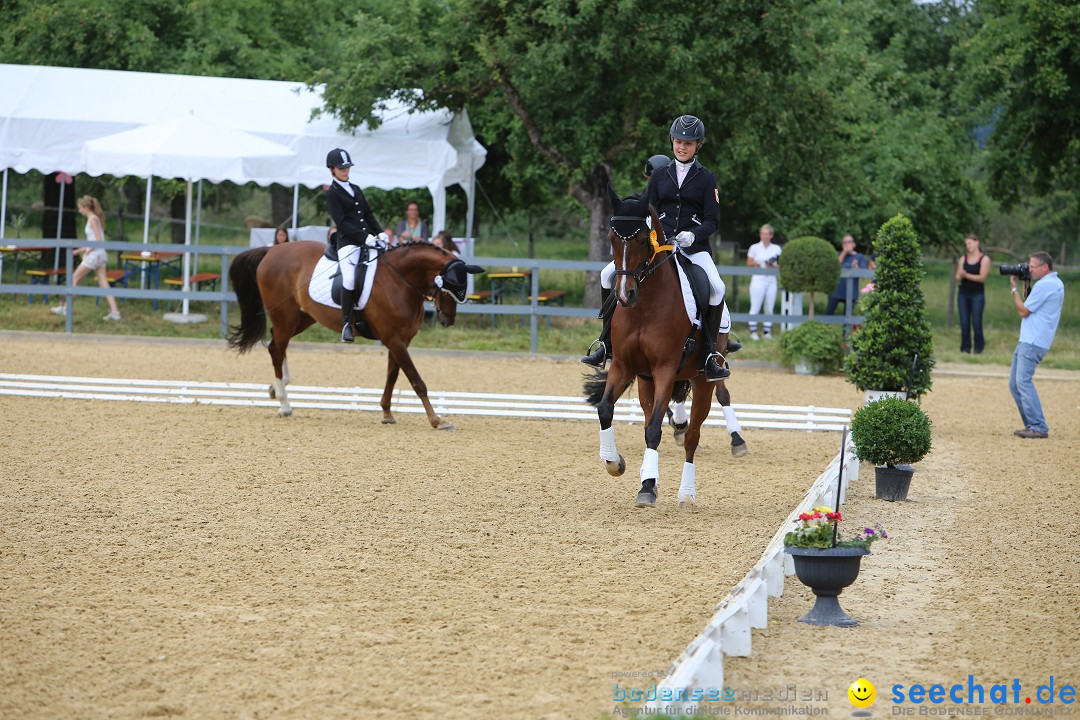 Reitturnier-Ueberlingen-28-06-2014-Bodensee-Community-SEECHAT_DE-IMG_5519.JPG