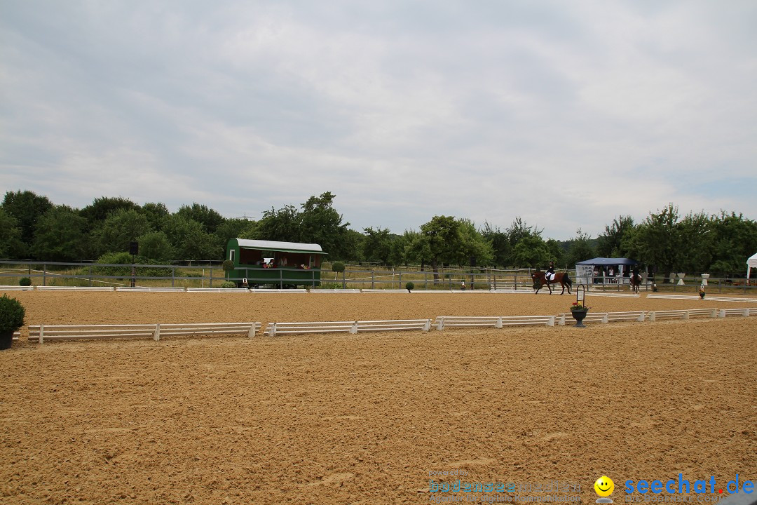 Reitturnier-Ueberlingen-28-06-2014-Bodensee-Community-SEECHAT_DE-IMG_5980.JPG