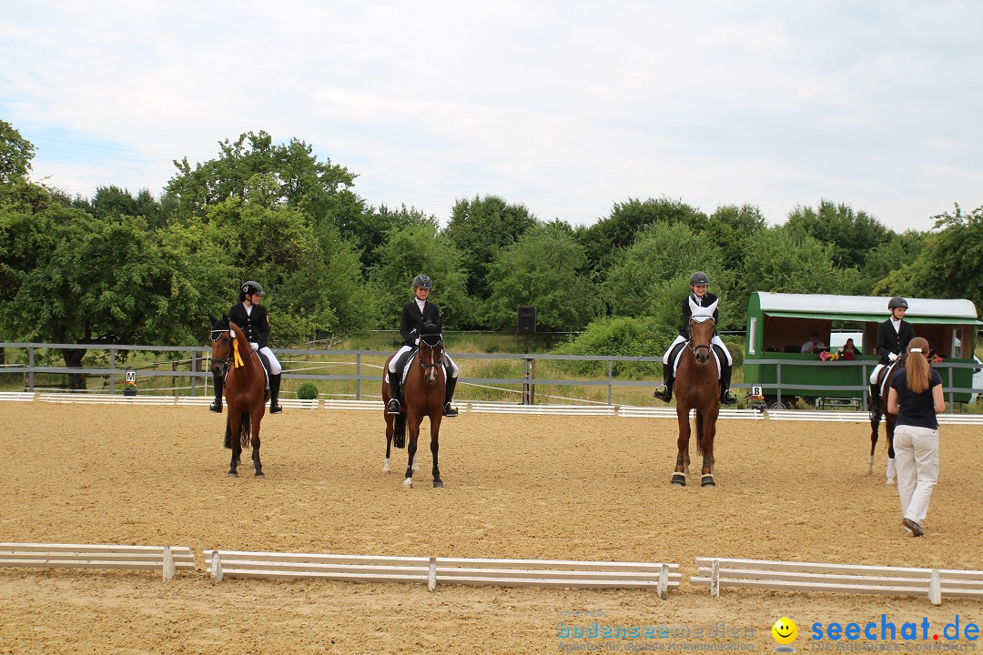 Reitturnier-Ueberlingen-28-06-2014-Bodensee-Community-SEECHAT_DE-IMG_5982.JPG