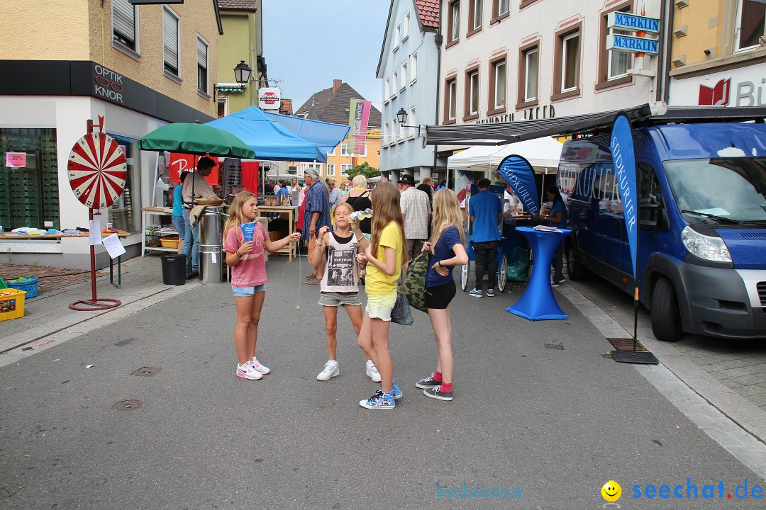 Schweizer Feiertag - Strassenfest: Stockach am Bodensee, 28.06.2014