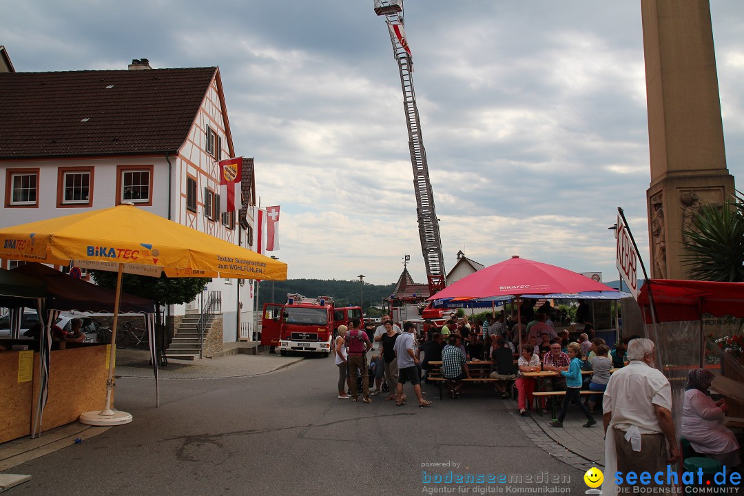 Schweizer Feiertag - Strassenfest: Stockach am Bodensee, 28.06.2014