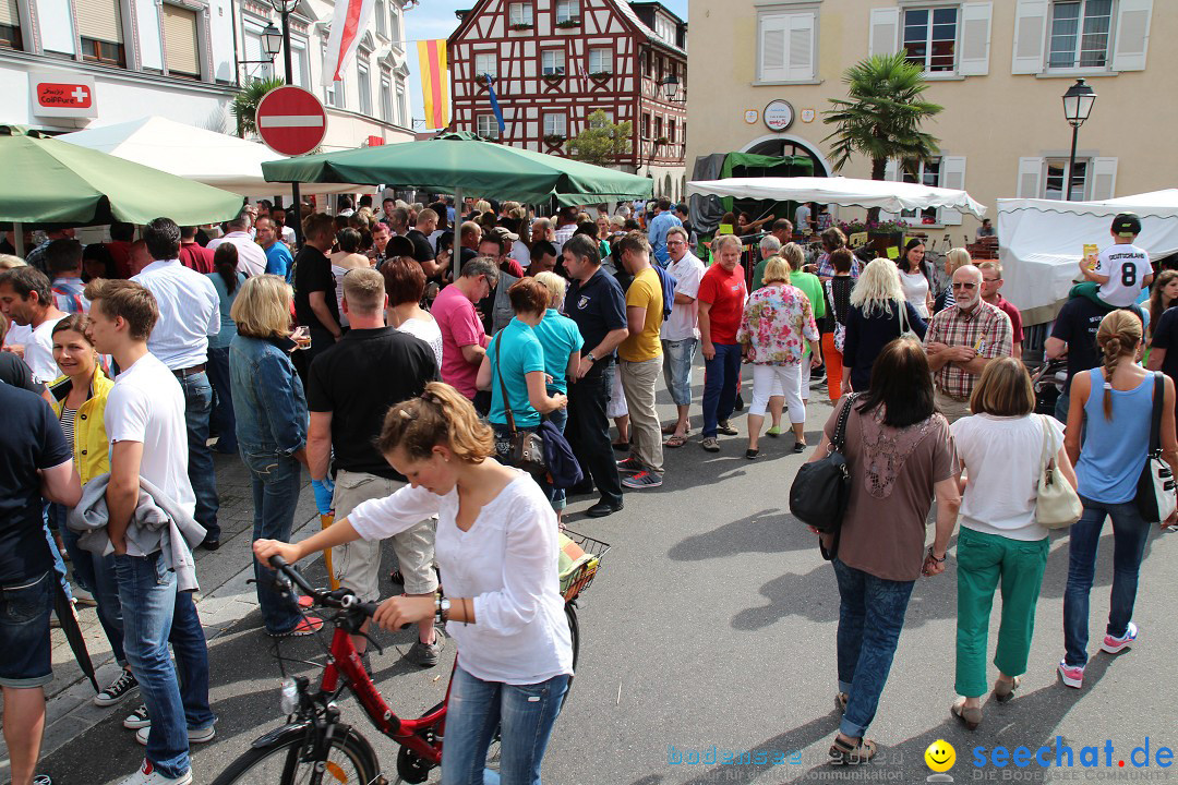 Schweizer Feiertag - Strassenfest: Stockach am Bodensee, 28.06.2014