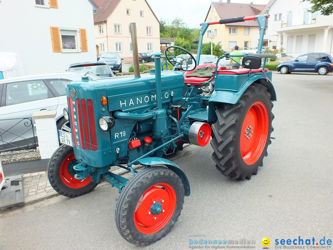 Flohmarkt: Zwiefaltendorf am Bodensee, 28.06.2014