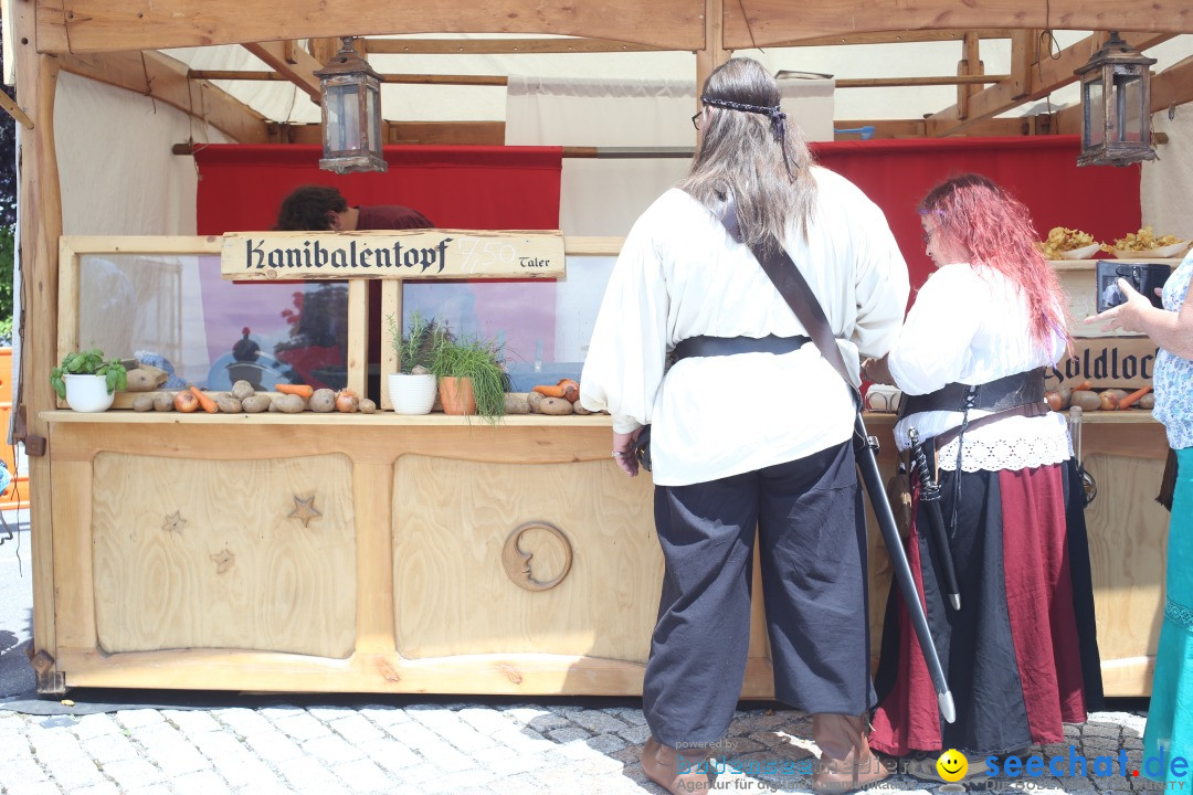 Mittelalterfest: Waldburg bei Ravensburg am Bodensee, 28.06.2014