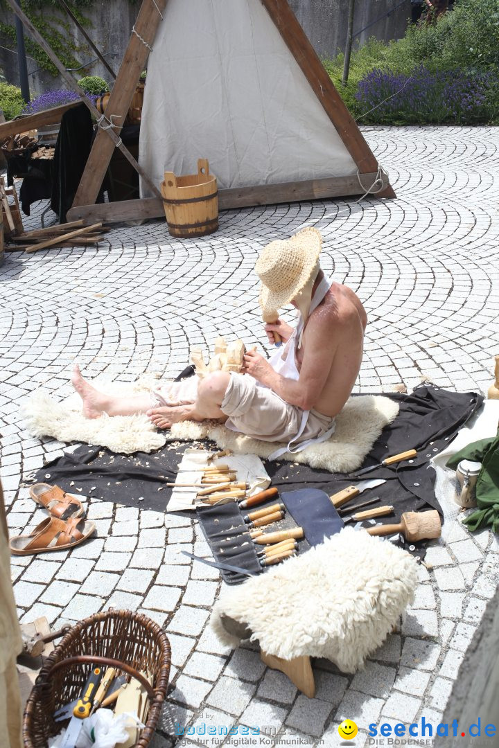 Mittelalterfest: Waldburg bei Ravensburg am Bodensee, 28.06.2014