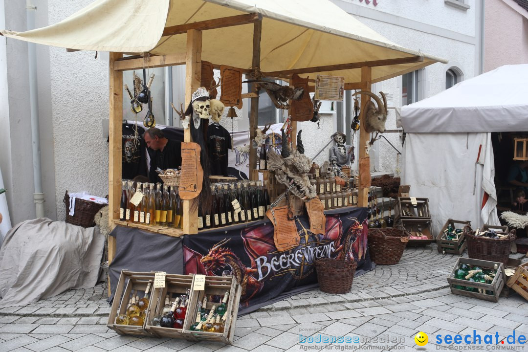 Mittelalterfest: Waldburg bei Ravensburg am Bodensee, 28.06.2014