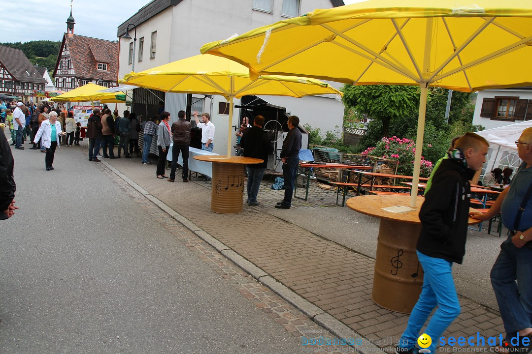 1250-Jahr-Feier mit Mittelaltermarkt: Eigeltingen am Bodensee, 29.06.2014