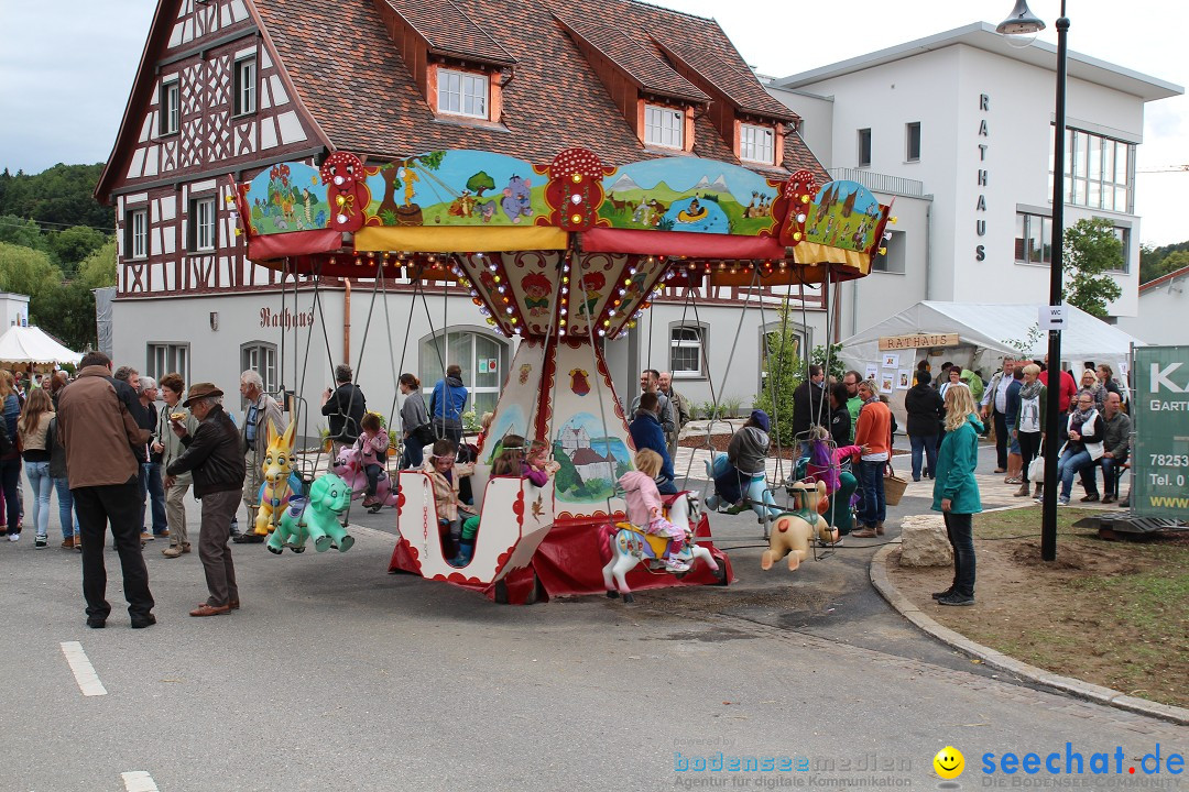 1250-Jahr-Feier mit Mittelaltermarkt: Eigeltingen am Bodensee, 29.06.2014