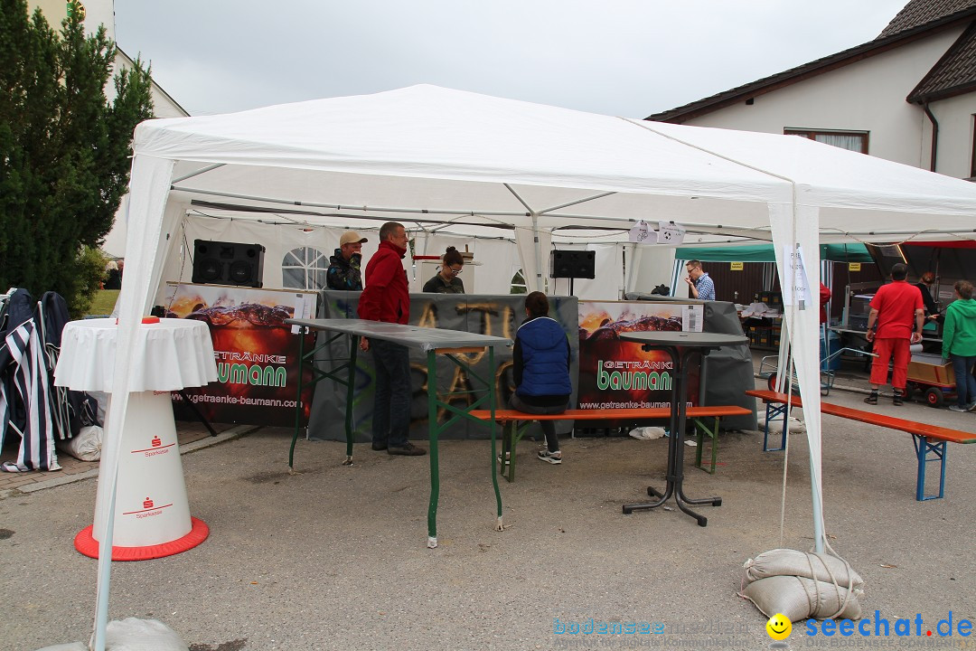 1250-Jahr-Feier mit Mittelaltermarkt: Eigeltingen am Bodensee, 29.06.2014