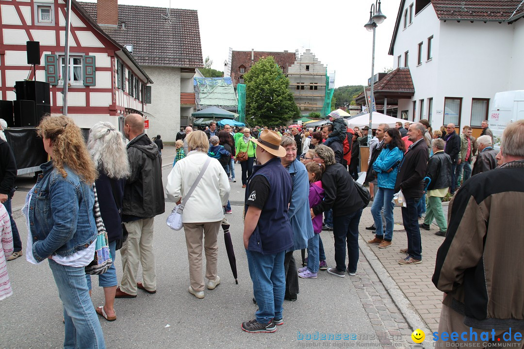 1250-Jahr-Feier mit Mittelaltermarkt: Eigeltingen am Bodensee, 29.06.2014