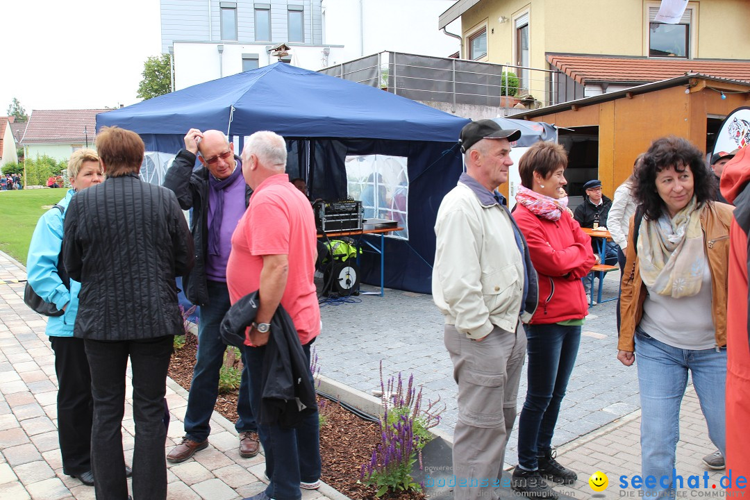 1250-Jahr-Feier mit Mittelaltermarkt: Eigeltingen am Bodensee, 29.06.2014