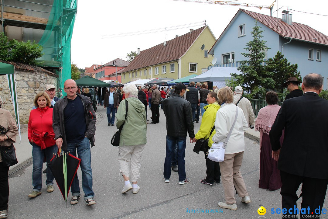 1250-Jahr-Feier mit Mittelaltermarkt: Eigeltingen am Bodensee, 29.06.2014