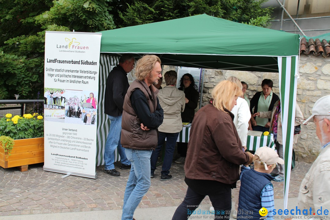 1250-Jahr-Feier mit Mittelaltermarkt: Eigeltingen am Bodensee, 29.06.2014