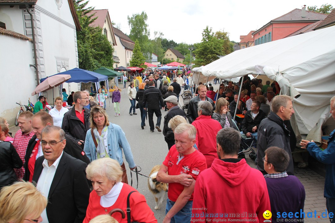 1250-Jahr-Feier mit Mittelaltermarkt: Eigeltingen am Bodensee, 29.06.2014