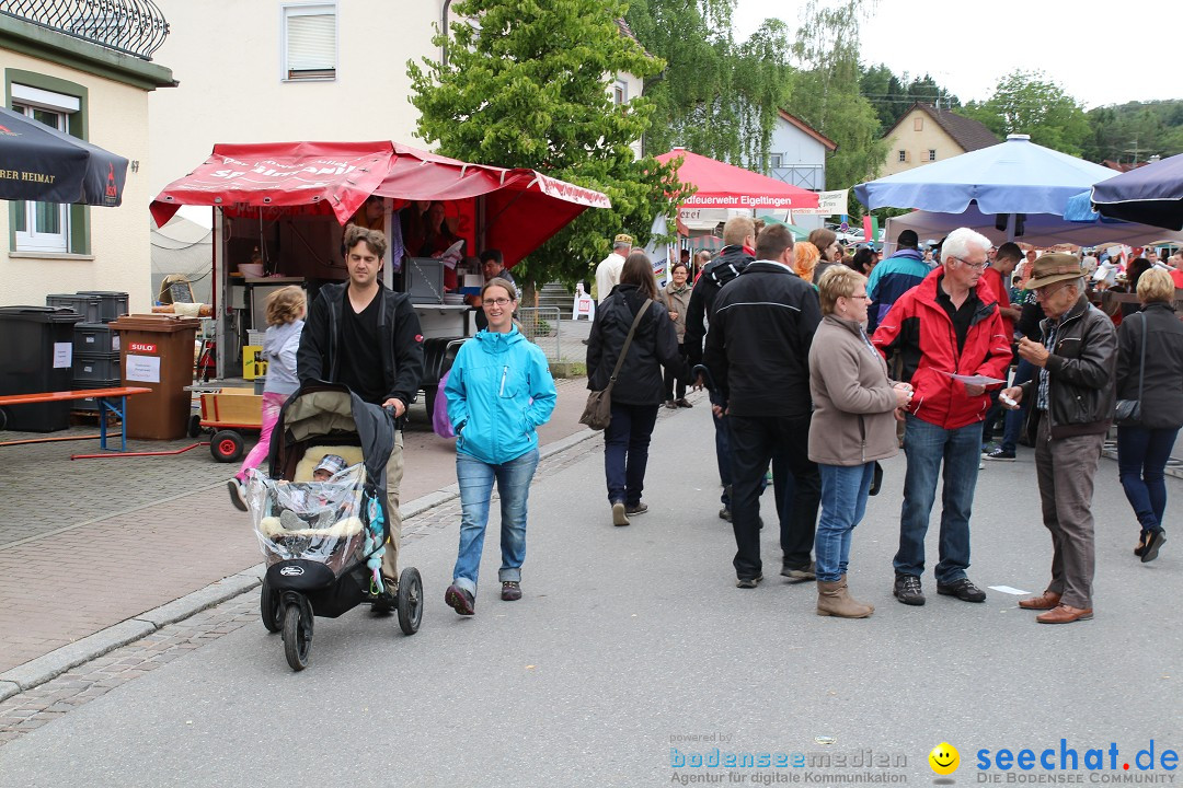 1250-Jahr-Feier mit Mittelaltermarkt: Eigeltingen am Bodensee, 29.06.2014