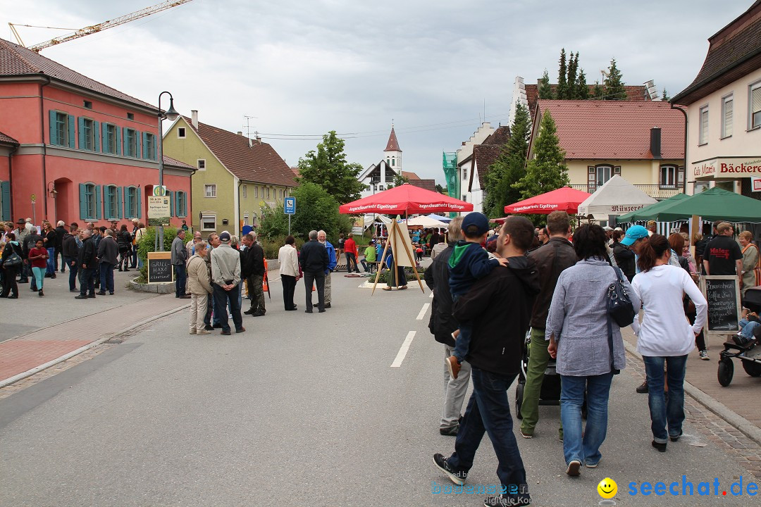 1250-Jahr-Feier mit Mittelaltermarkt: Eigeltingen am Bodensee, 29.06.2014