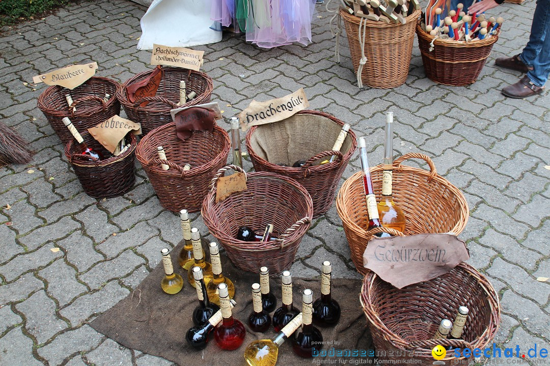 1250-Jahr-Feier mit Mittelaltermarkt: Eigeltingen am Bodensee, 29.06.2014