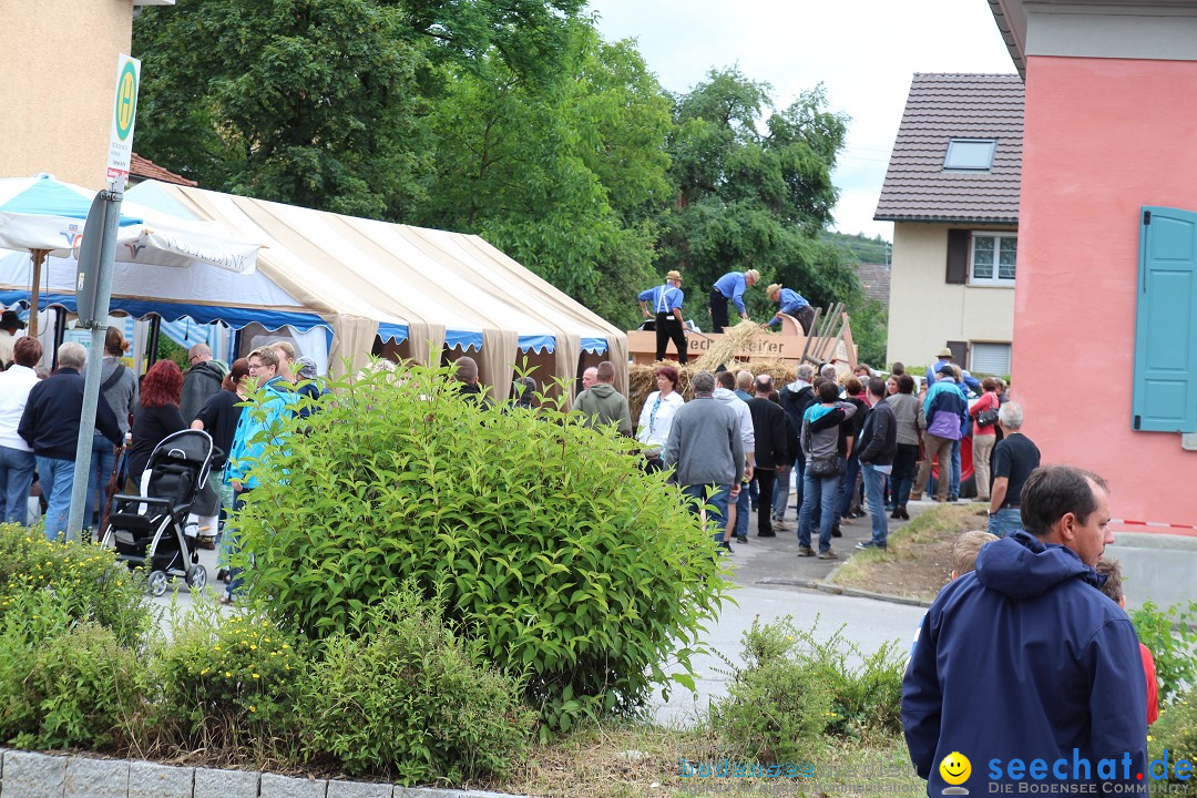 1250-Jahr-Feier mit Mittelaltermarkt: Eigeltingen am Bodensee, 29.06.2014