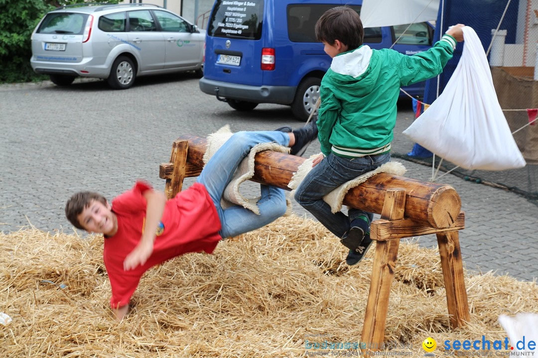 1250-Jahr-Feier mit Mittelaltermarkt: Eigeltingen am Bodensee, 29.06.2014