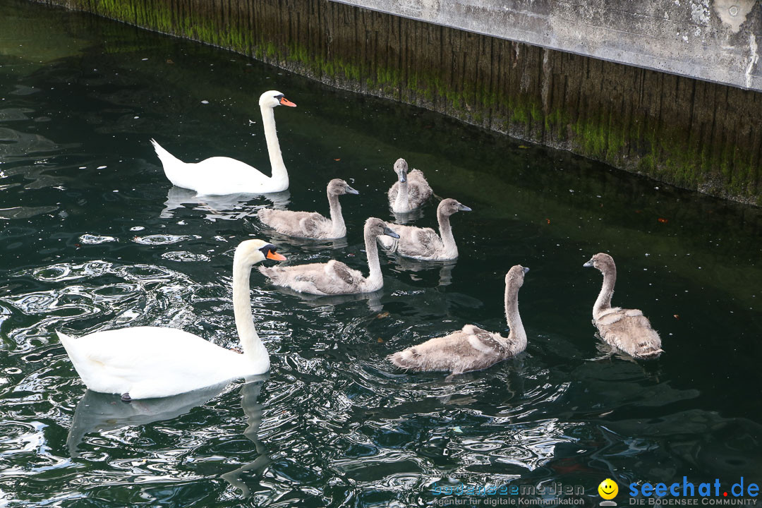 Das-Party-Boot-Ueberlingen-050714-Bodensee-Community-Seechat_de--6445.jpg