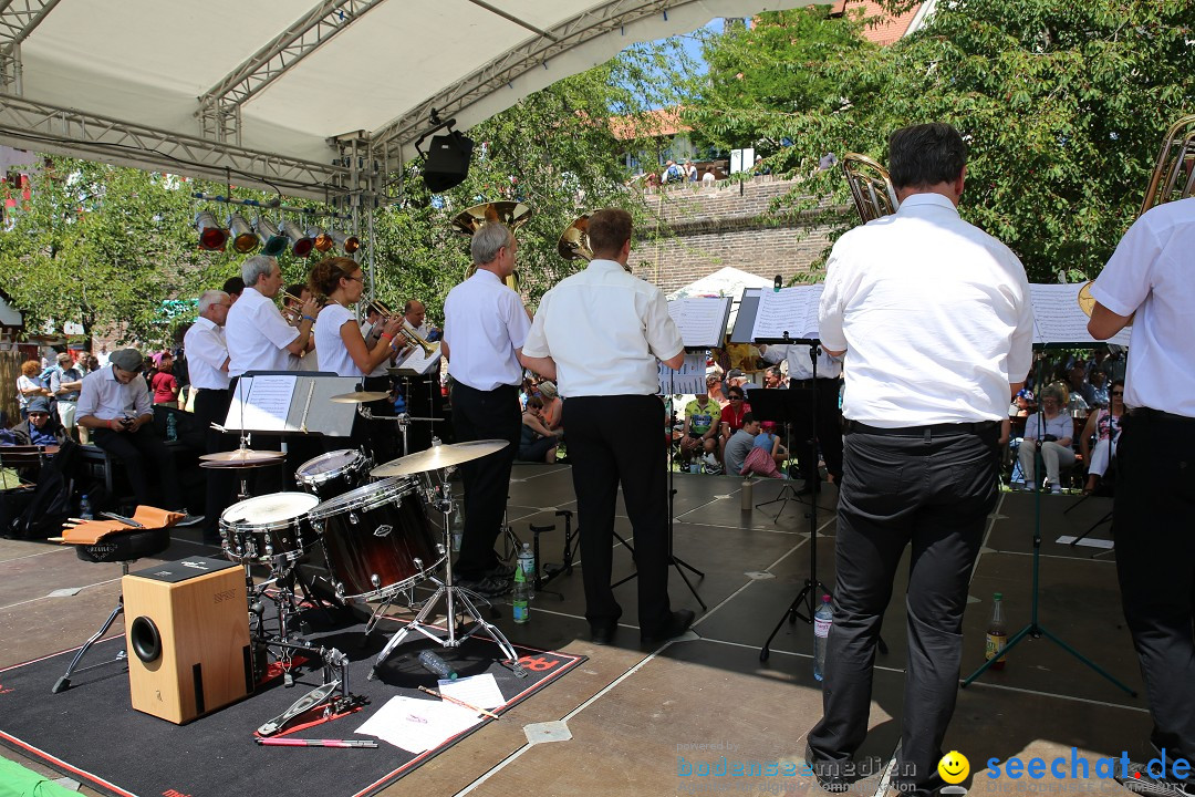 Internationales Donaufest: Ulm an der Donau, 06.07.2014