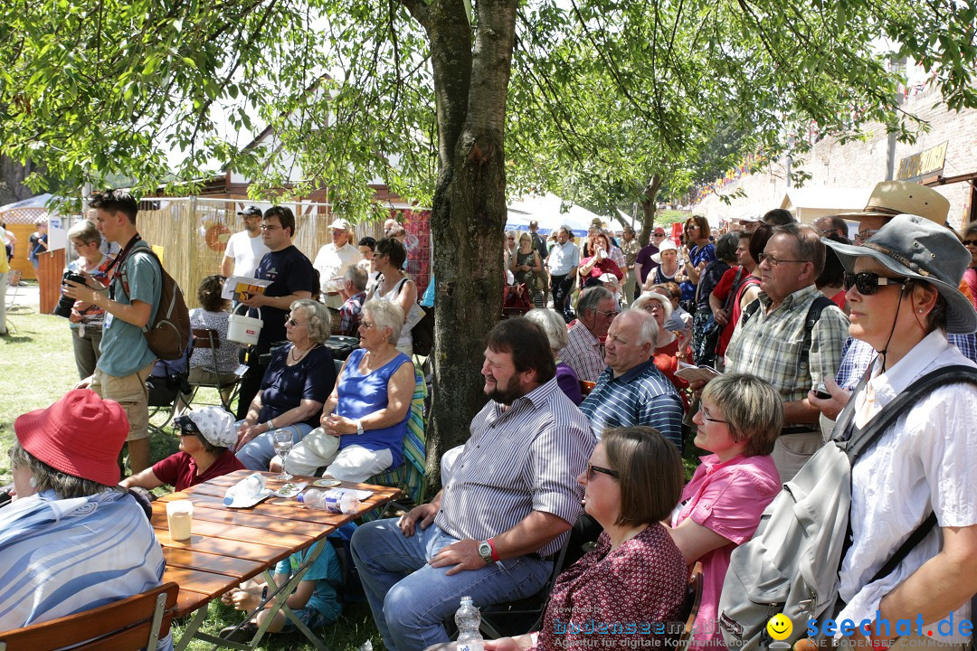 Internationales Donaufest: Ulm an der Donau, 06.07.2014