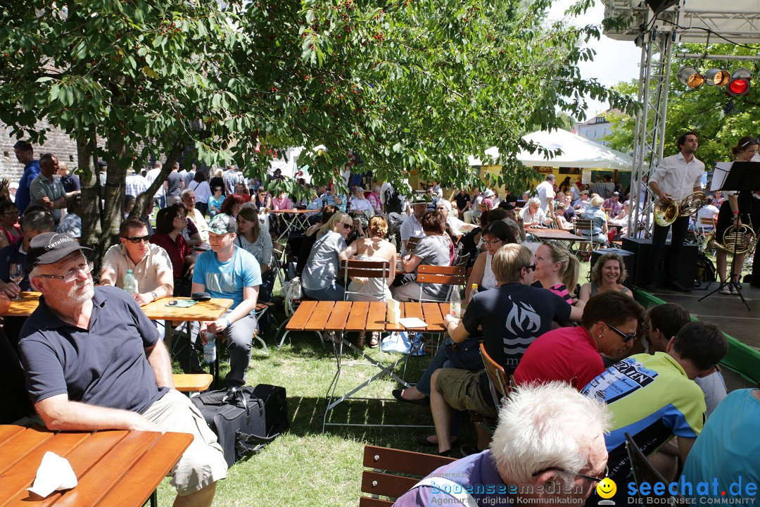 Internationales Donaufest: Ulm an der Donau, 06.07.2014