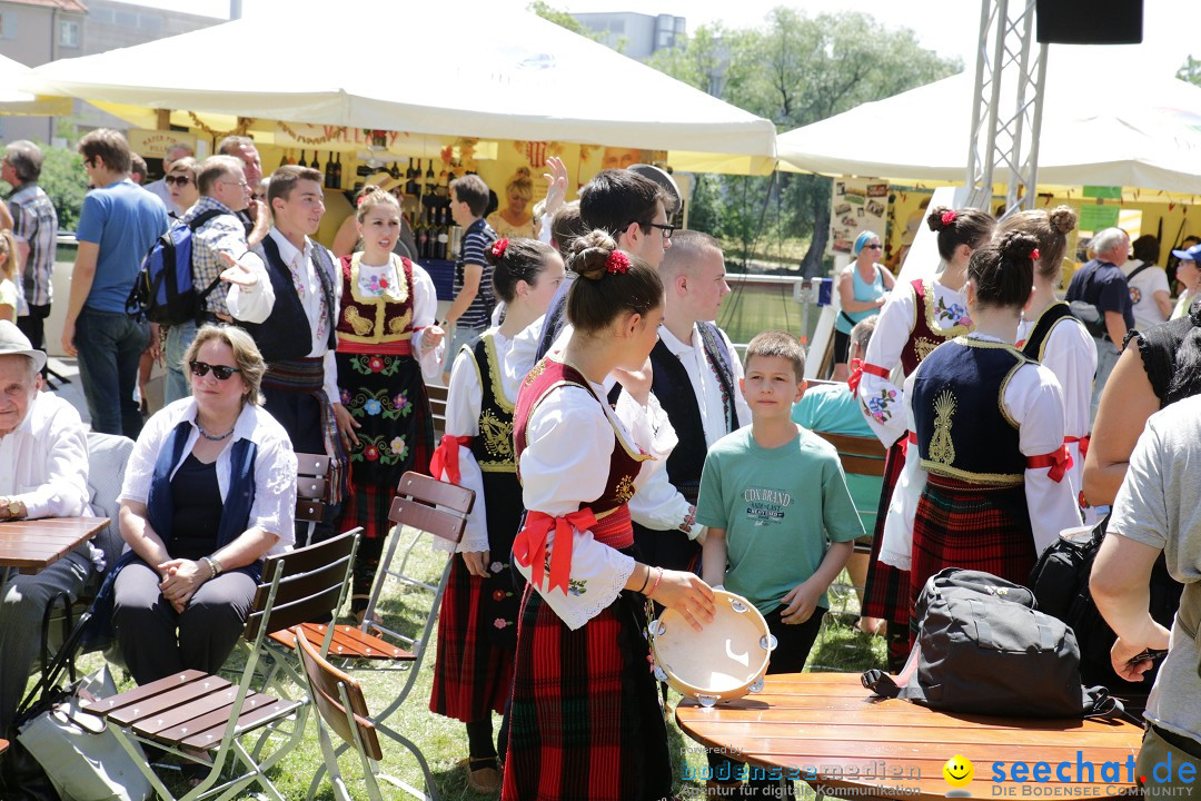 Internationales Donaufest: Ulm an der Donau, 06.07.2014