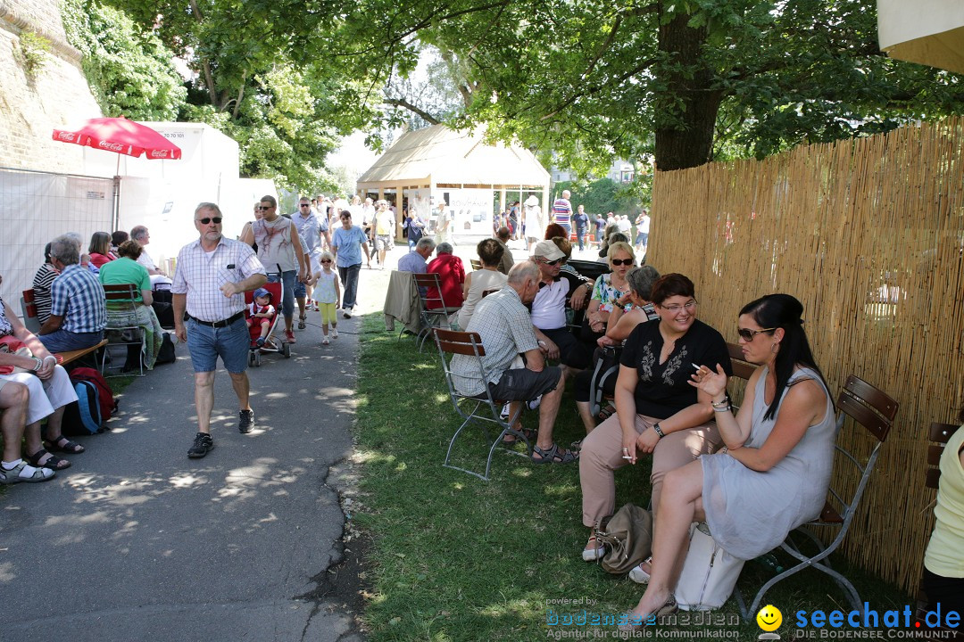 Internationales Donaufest: Ulm an der Donau, 06.07.2014