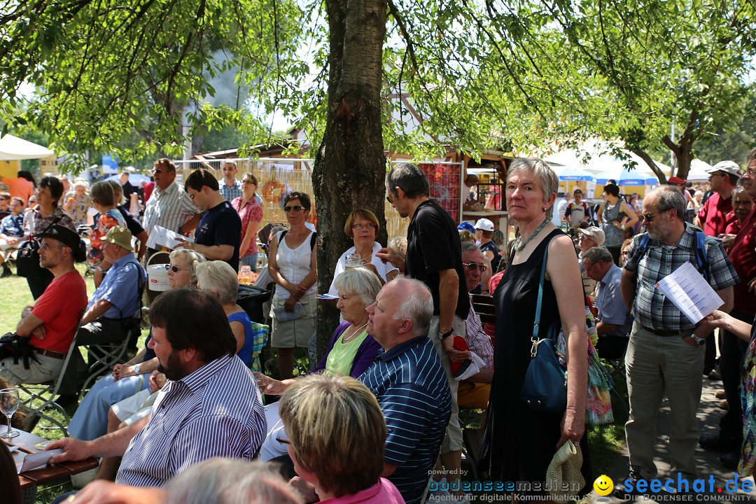 Internationales Donaufest: Ulm an der Donau, 06.07.2014