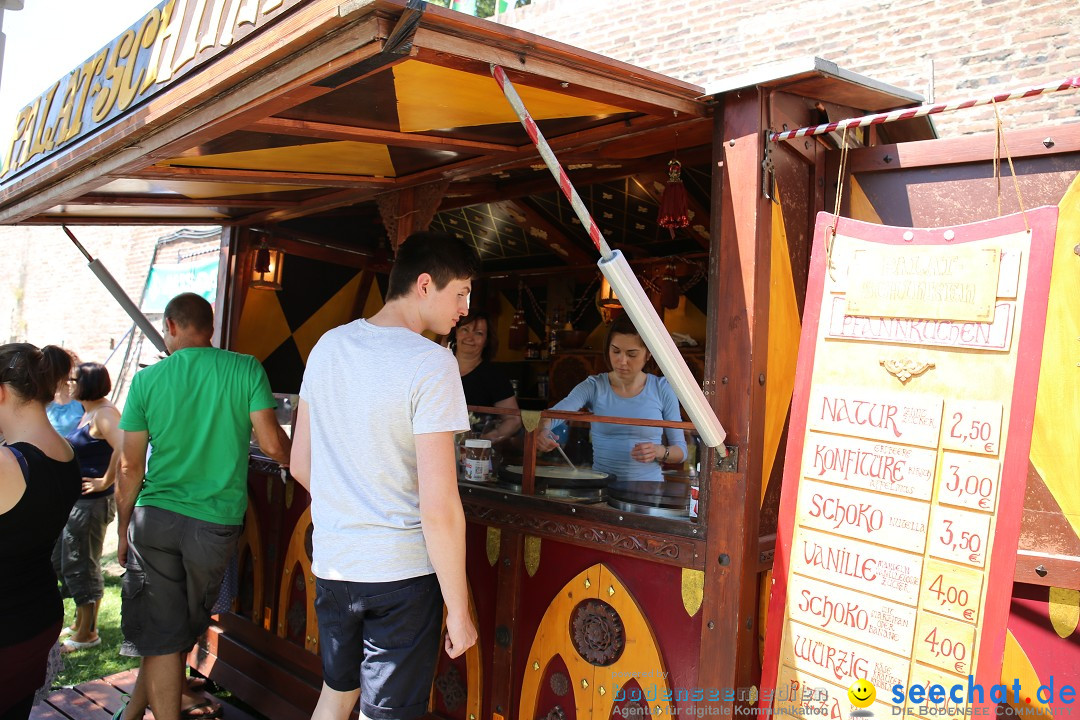 Internationales Donaufest: Ulm an der Donau, 06.07.2014