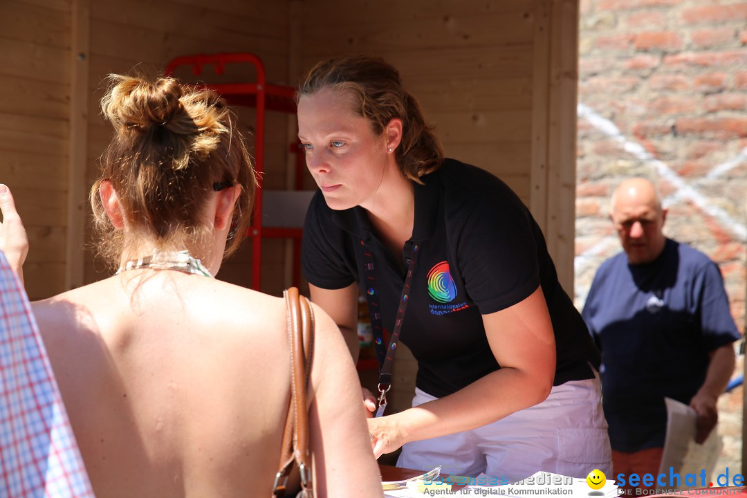 Internationales Donaufest: Ulm an der Donau, 06.07.2014