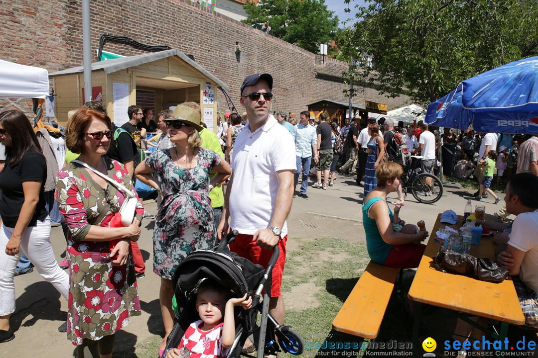 Internationales Donaufest: Ulm an der Donau, 06.07.2014