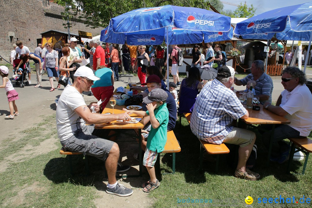 Internationales Donaufest: Ulm an der Donau, 06.07.2014