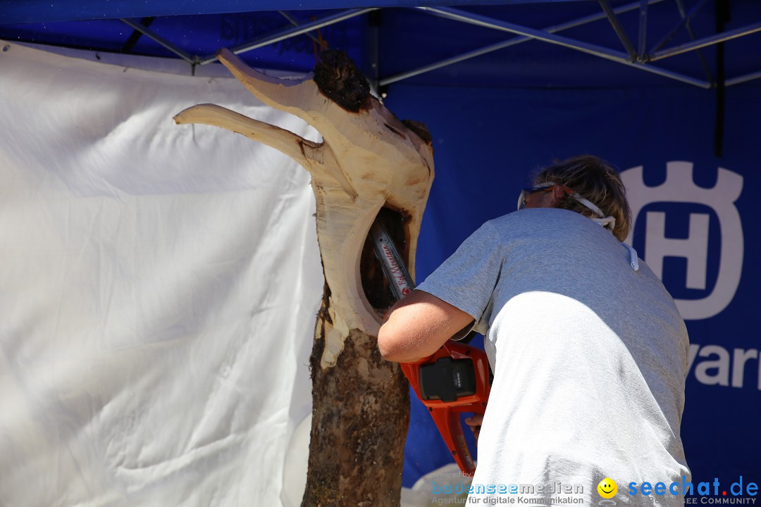 Internationales Donaufest: Ulm an der Donau, 06.07.2014