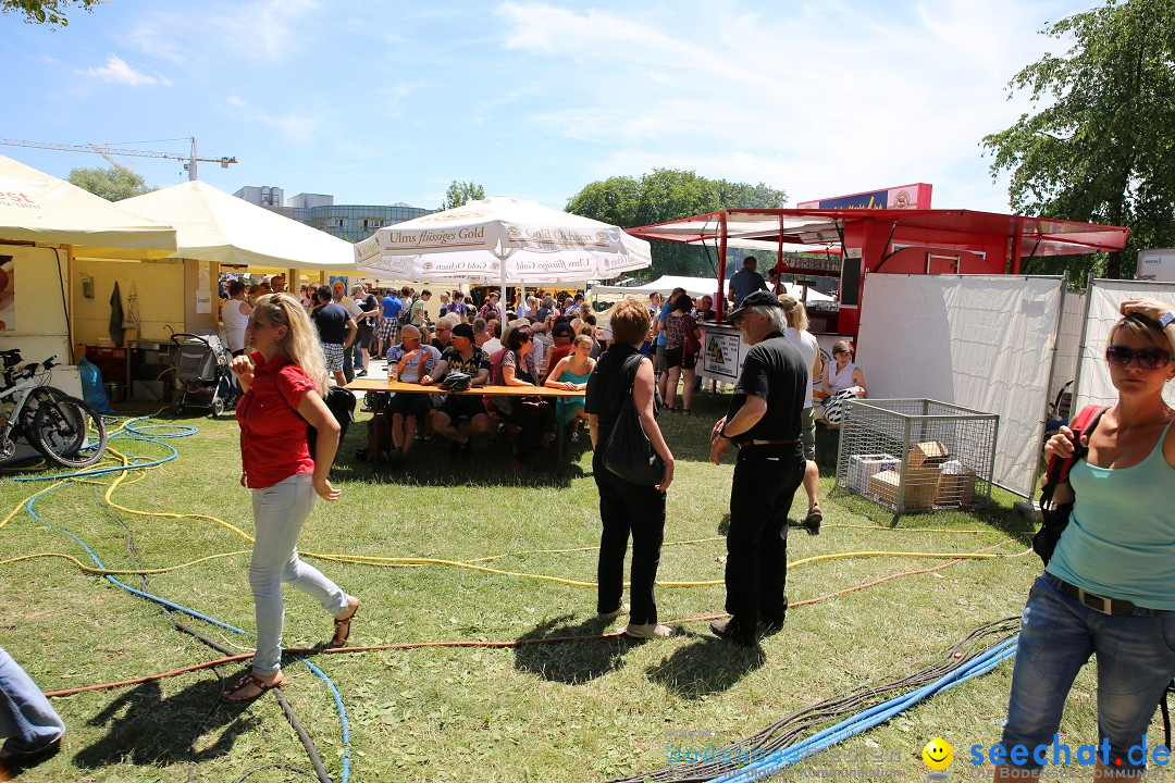 Internationales Donaufest: Ulm an der Donau, 06.07.2014