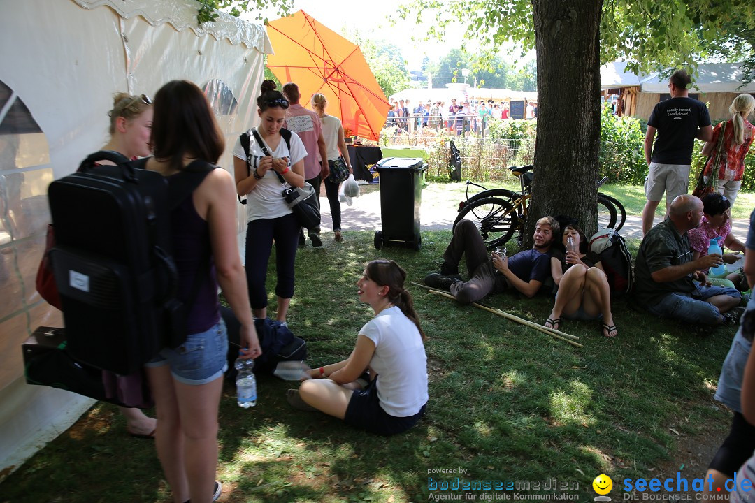 Internationales Donaufest: Ulm an der Donau, 06.07.2014