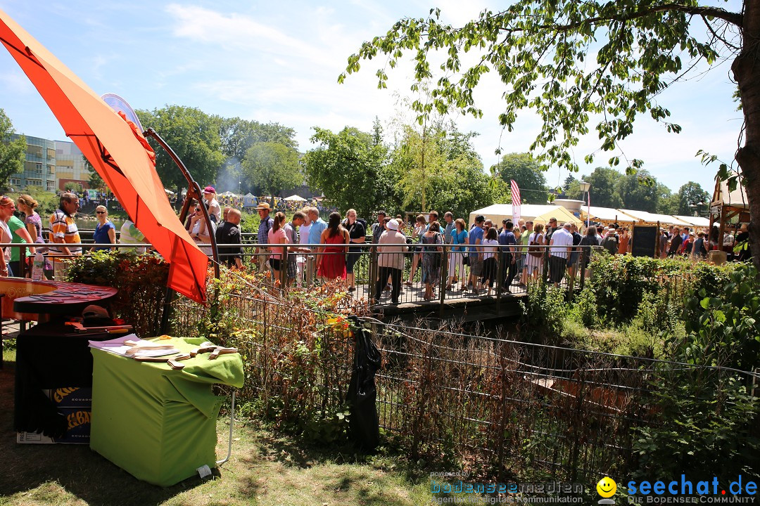 Internationales Donaufest: Ulm an der Donau, 06.07.2014