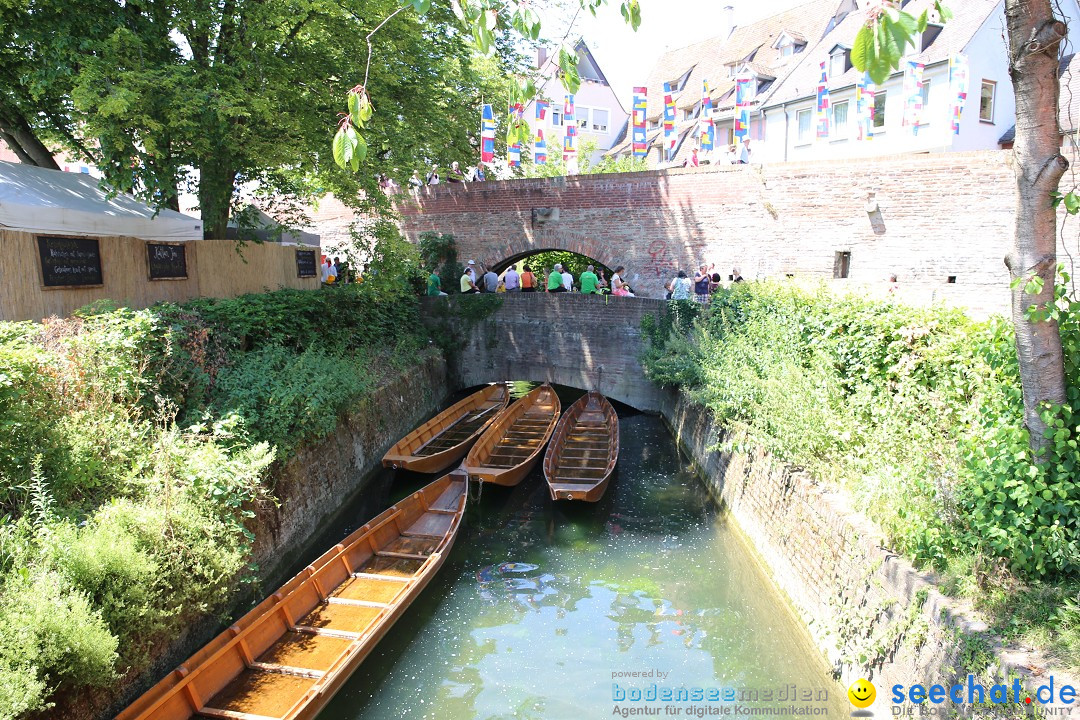 Internationales Donaufest: Ulm an der Donau, 06.07.2014