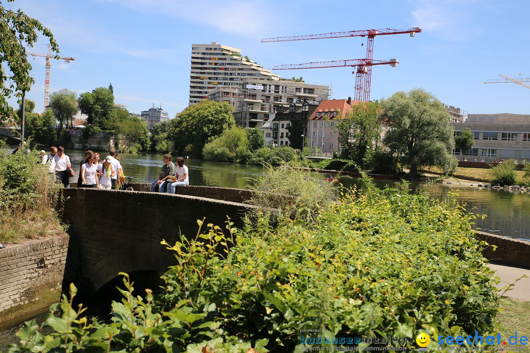 Internationales Donaufest: Ulm an der Donau, 06.07.2014